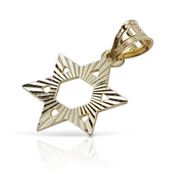 Gold Star of David in a conservative design line
