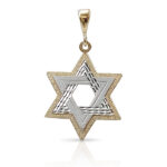 two tone gold magen david pendant (1)